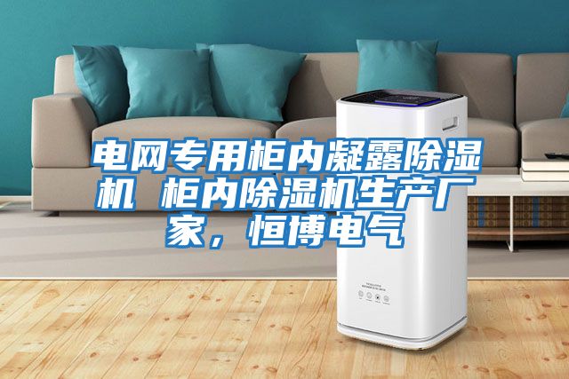 電網(wǎng)專用柜內(nèi)凝露除濕機(jī) 柜內(nèi)除濕機(jī)生產(chǎn)廠家,恒博電氣