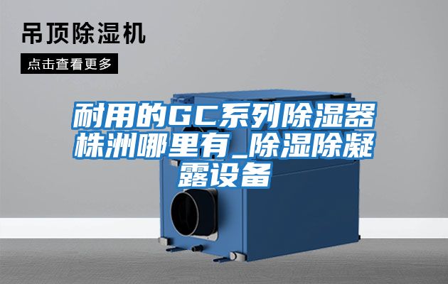 耐用的GC系列除濕器株洲哪里有_除濕除凝露設(shè)備