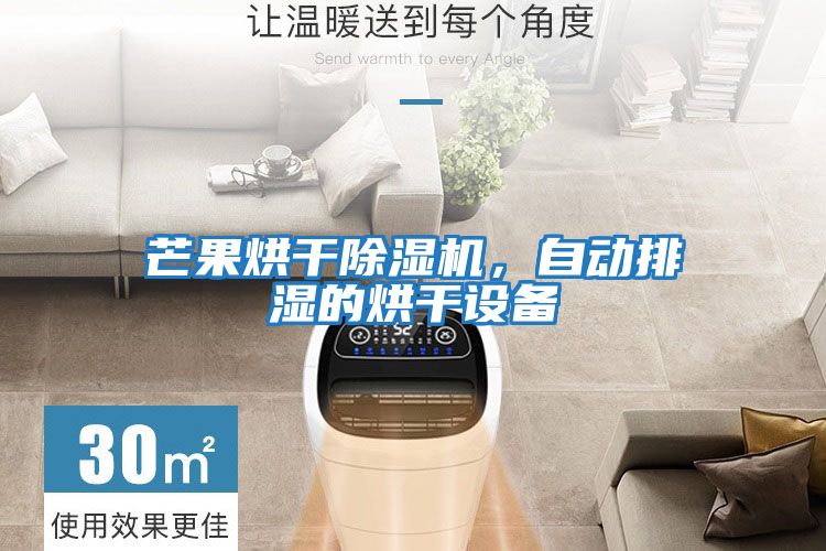 芒果烘干除濕機，自動排濕的烘干設備