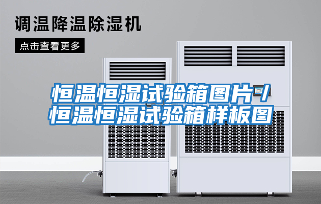 恒溫恒濕試驗(yàn)箱圖片/恒溫恒濕試驗(yàn)箱樣板圖