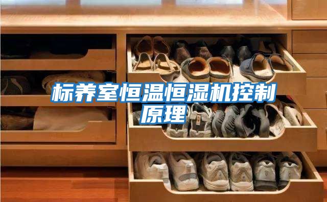 標養室恒溫恒濕機控制原理