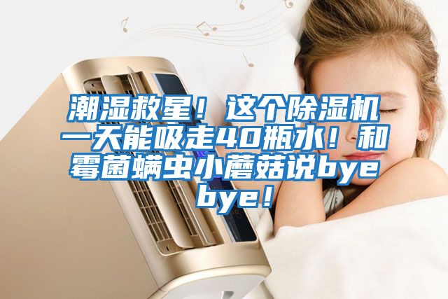 潮濕救星！這個除濕機一天能吸走40瓶水！和霉菌螨蟲小蘑菇說bye bye！