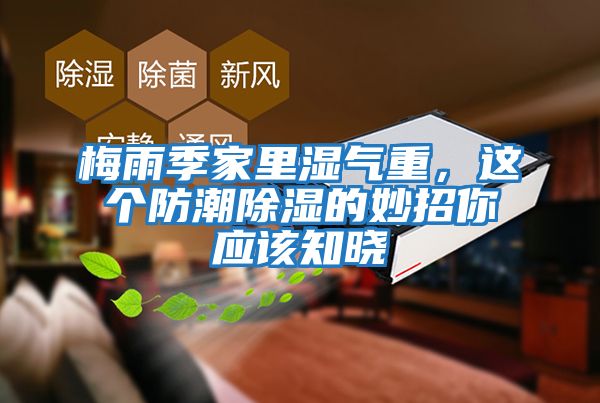 梅雨季家里濕氣重，這個防潮除濕的妙招你應該知曉
