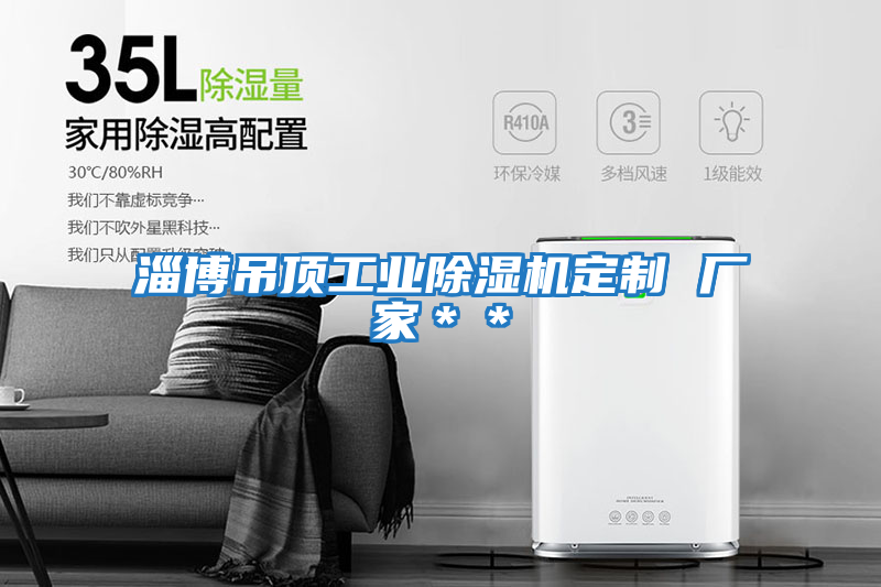 淄博吊頂工業除濕機定制 廠家＊＊