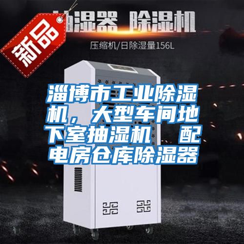 淄博市工業(yè)除濕機(jī)，大型車間地下室抽濕機(jī)  配電房倉庫除濕器