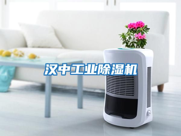 漢中工業除濕機