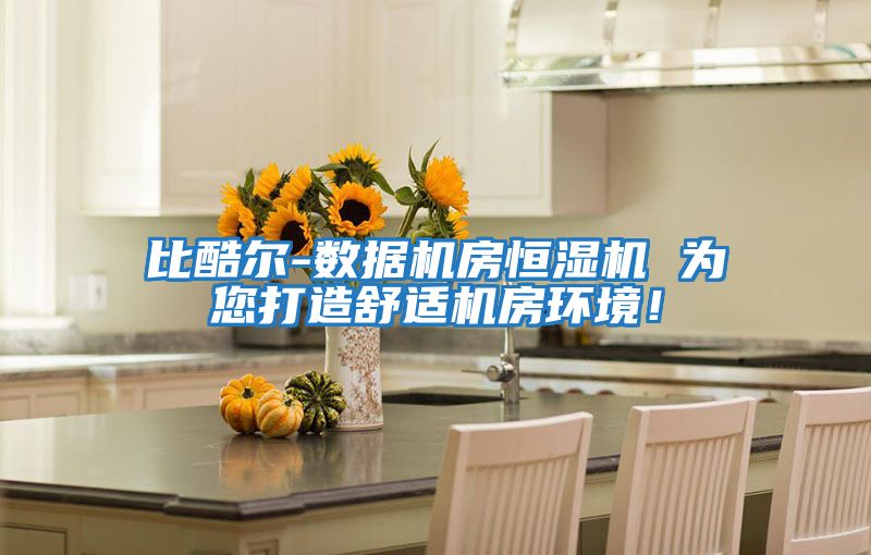比酷爾-數據機房恒濕機 為您打造舒適機房環境！
