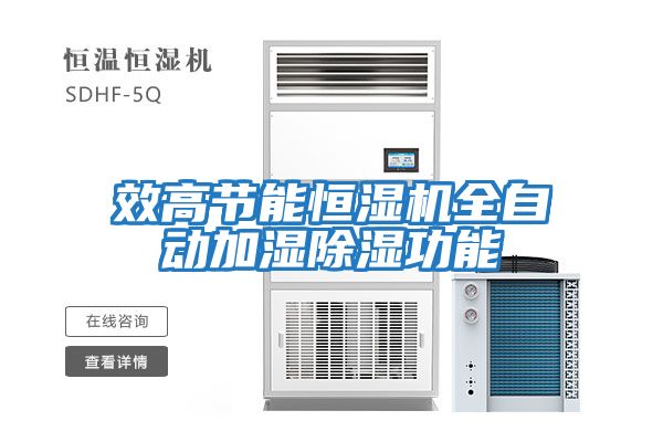 效高節能恒濕機全自動加濕除濕功能