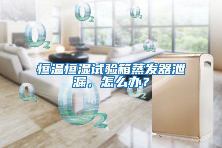 恒溫恒濕試驗箱蒸發器泄漏,怎么辦?