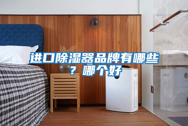 進口除濕器品牌有哪些？哪個好