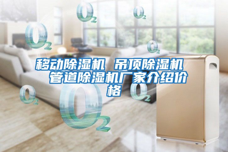 移動除濕機 吊頂除濕機 管道除濕機廠家介紹價格