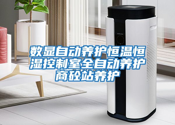 數顯自動養護恒溫恒濕控制室全自動養護商砼站養護