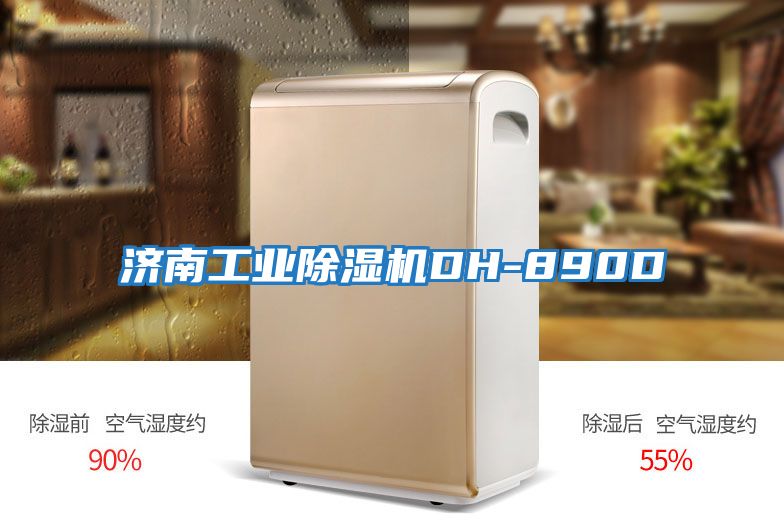 濟南工業除濕機DH-890D