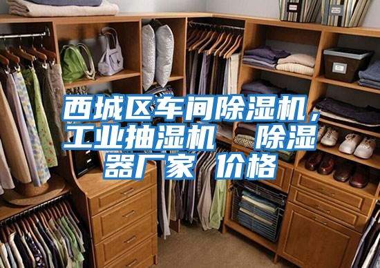 西城區車間除濕機，工業抽濕機  除濕器廠家 價格