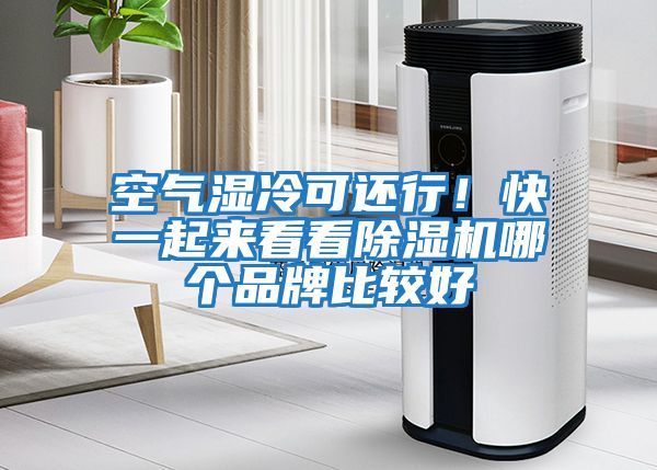 空氣濕冷可還行！快一起來看看除濕機哪個品牌比較好