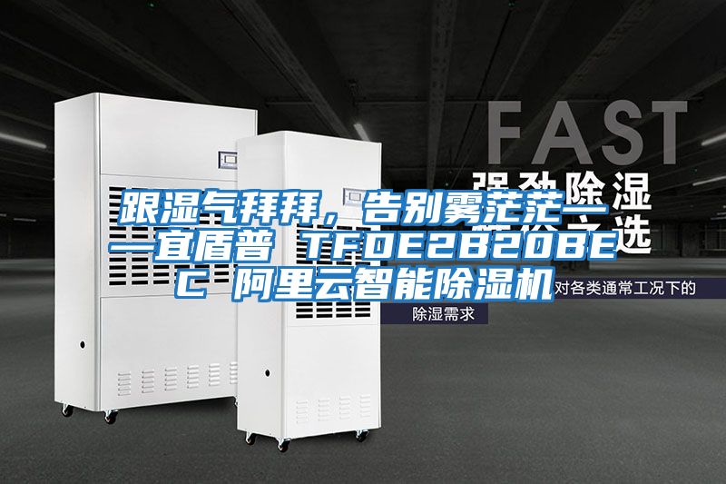 跟濕氣拜拜，告別霧茫茫——宜盾普 TFDE2B20BEC 阿里云智能除濕機