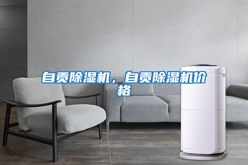 自貢除濕機，自貢除濕機價格