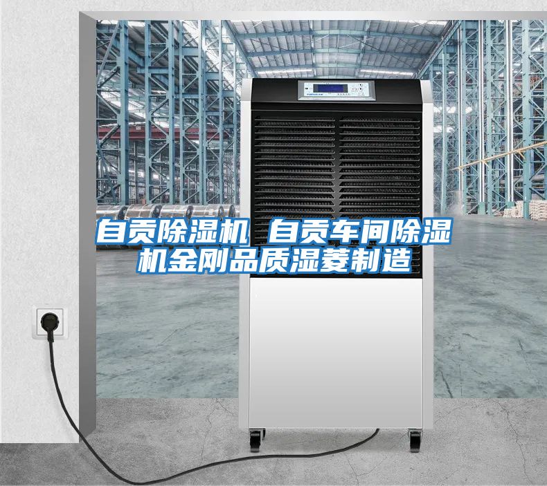 自貢除濕機 自貢車間除濕機金剛品質濕菱制造