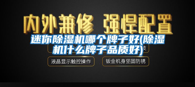 迷你除濕機哪個牌子好(除濕機什么牌子品質好)