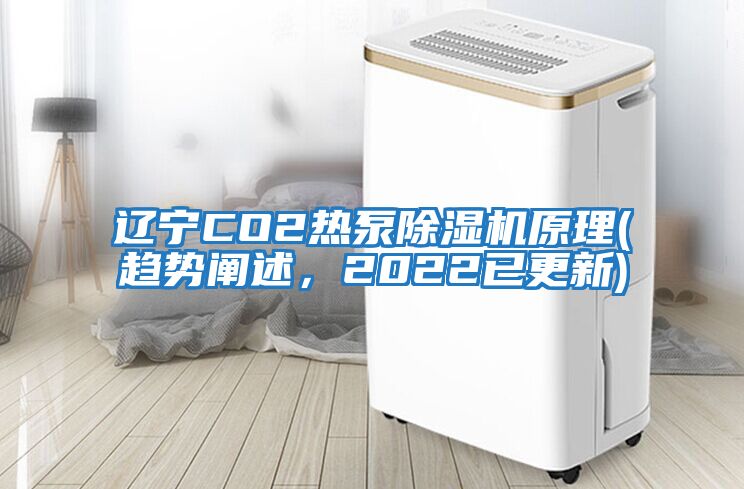 遼寧CO2熱泵除濕機原理(趨勢闡述，2022已更新)