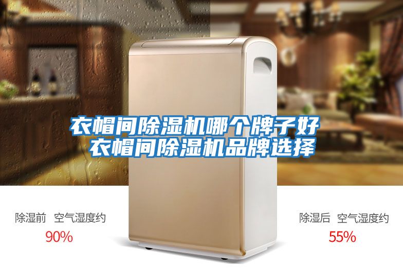 衣帽間除濕機(jī)哪個牌子好 衣帽間除濕機(jī)品牌選擇