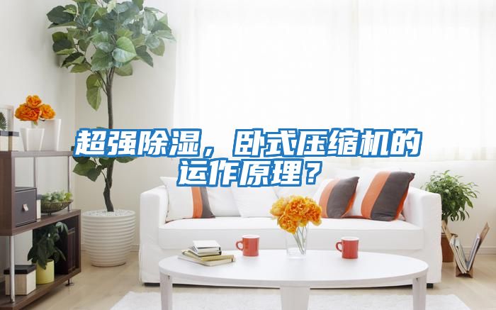 超強除濕，臥式壓縮機的運作原理？