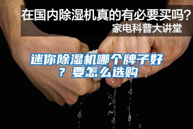 迷你除濕機哪個牌子好？要怎么選購