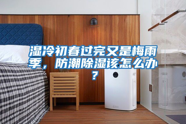 濕冷初春過完又是梅雨季，防潮除濕該怎么辦？