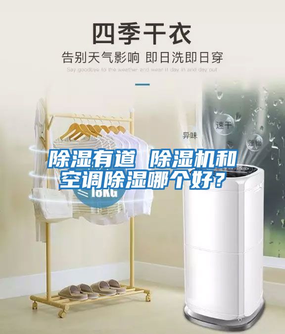 除濕有道 除濕機和空調除濕哪個好？