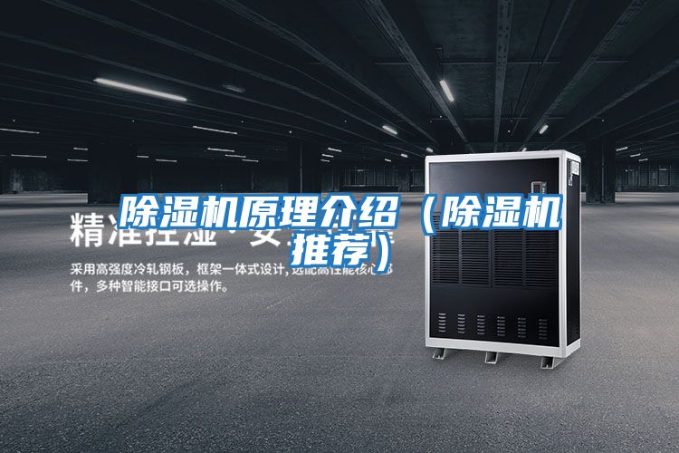 除濕機原理介紹(除濕機推薦)