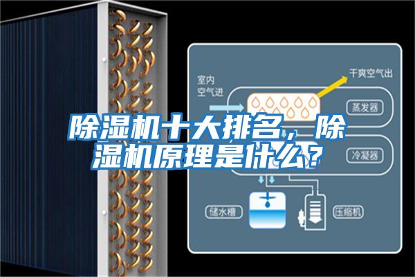 除濕機十大排名，除濕機原理是什么？