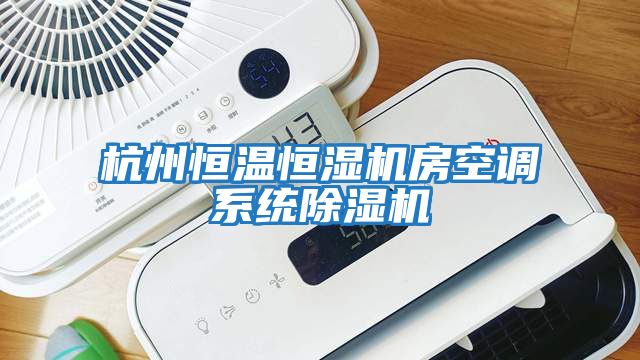 杭州恒溫恒濕機房空調系統除濕機