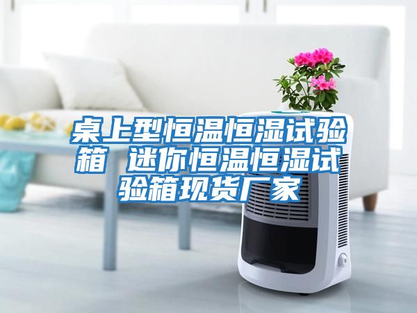桌上型恒溫恒濕試驗箱 迷你恒溫恒濕試驗箱現貨廠家