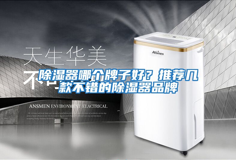 除濕器哪個(gè)牌子好？推薦幾款不錯(cuò)的除濕器品牌