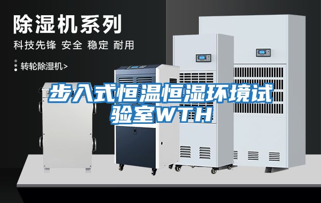 步入式恒溫恒濕環境試驗室WTH