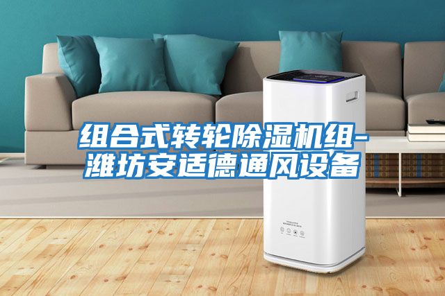 組合式轉輪除濕機組-濰坊安適德通風設備