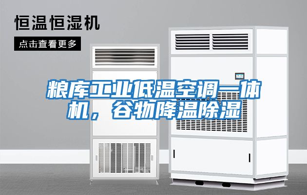 糧庫(kù)工業(yè)低溫空調(diào)一體機(jī)，谷物降溫除濕