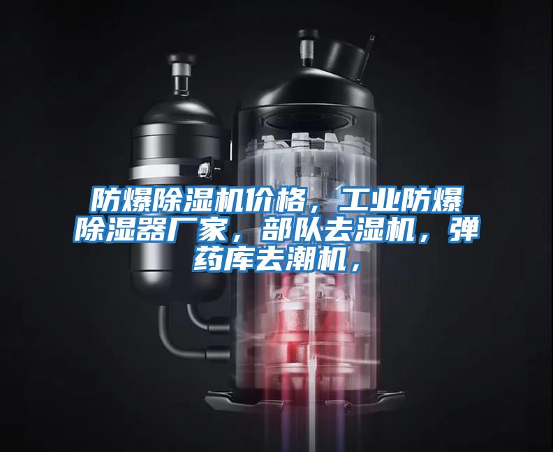 防爆除濕機價格,工業(yè)防爆除濕器廠家,部隊去濕機,彈藥庫去潮機,