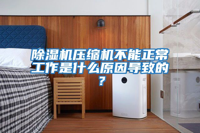 除濕機(jī)壓縮機(jī)不能正常工作是什么原因?qū)е碌模?></div>
								<div   id=