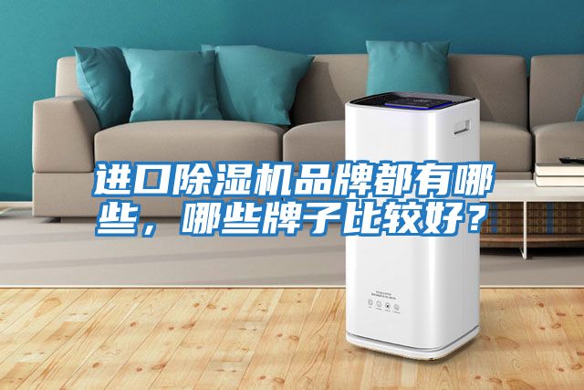 進(jìn)口除濕機(jī)品牌都有哪些，哪些牌子比較好？