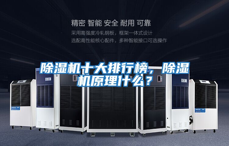 除濕機十大排行榜，除濕機原理什么？