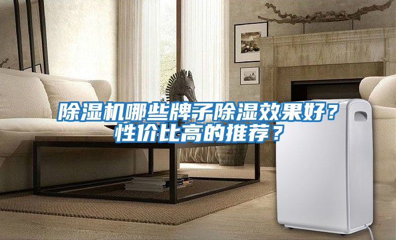除濕機(jī)哪些牌子除濕效果好?性價(jià)比高的推薦?