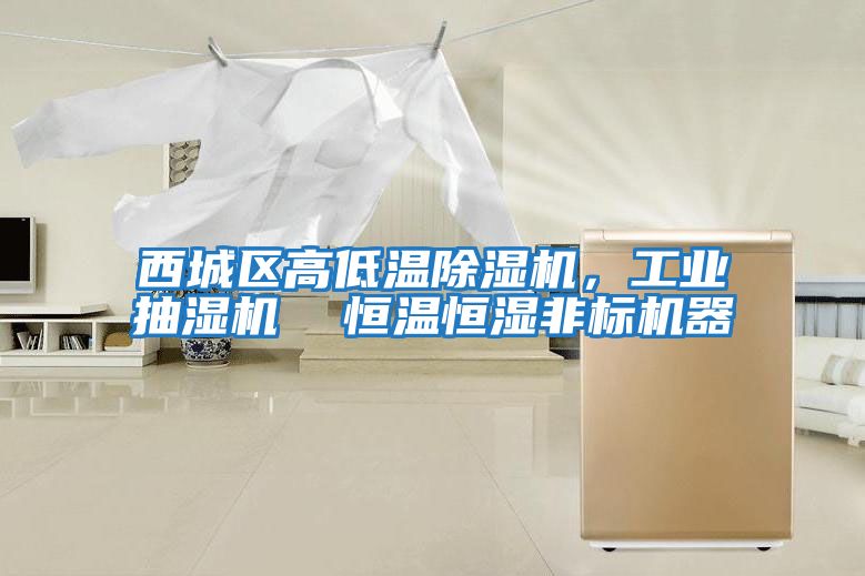 西城區(qū)高低溫除濕機(jī)，工業(yè)抽濕機(jī)  恒溫恒濕非標(biāo)機(jī)器