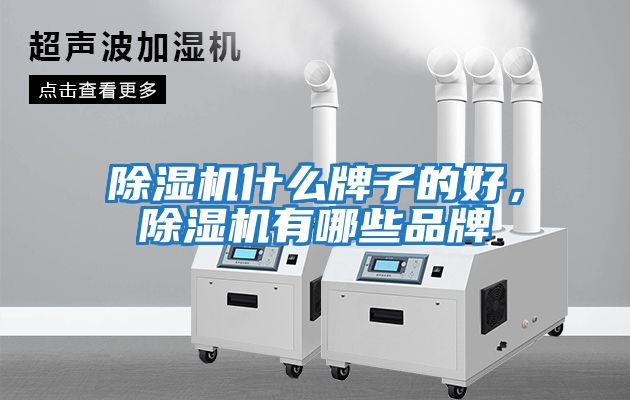 除濕機什么牌子的好，除濕機有哪些品牌