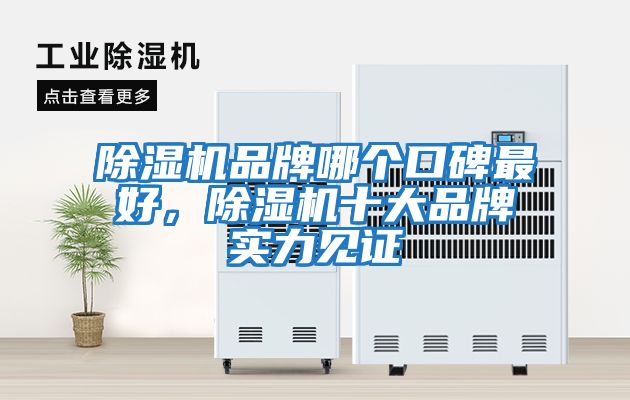 除濕機(jī)品牌哪個口碑最好，除濕機(jī)十大品牌實力見證