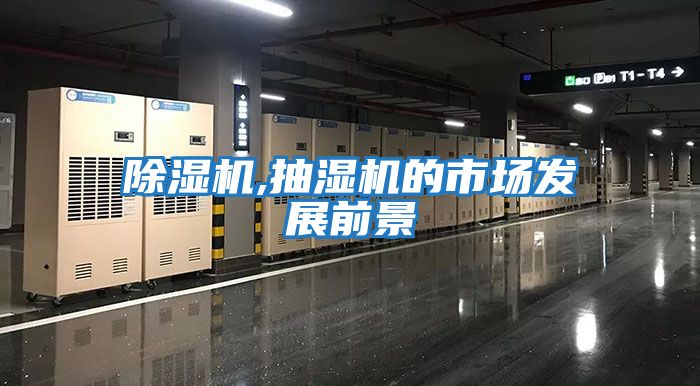 除濕機,抽濕機的市場發展前景