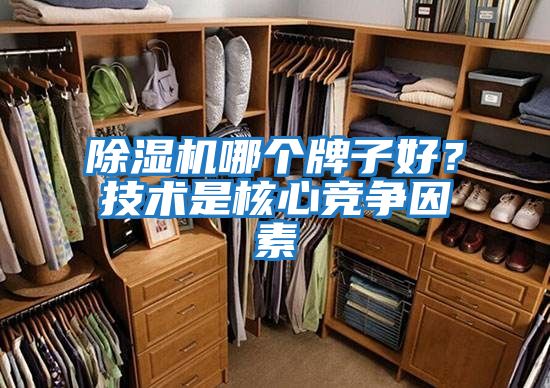 除濕機(jī)哪個(gè)牌子好?技術(shù)是核心競(jìng)爭(zhēng)因素