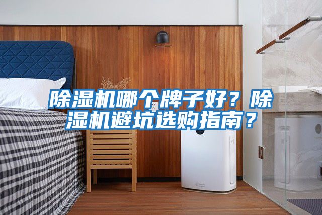 除濕機(jī)哪個(gè)牌子好？除濕機(jī)避坑選購指南？