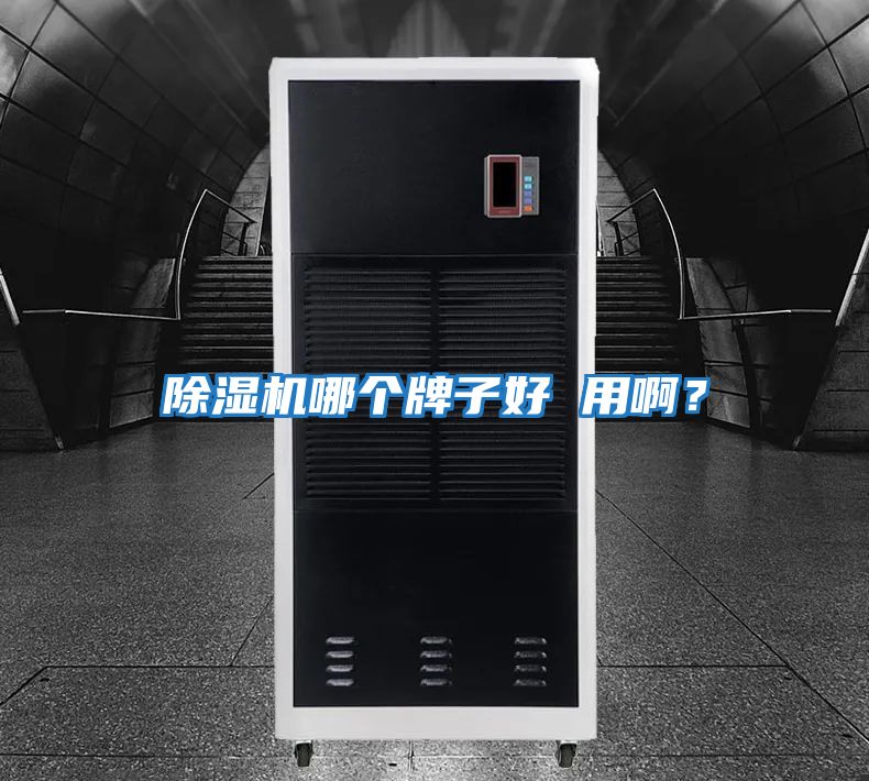 除濕機哪個牌子好 用啊？