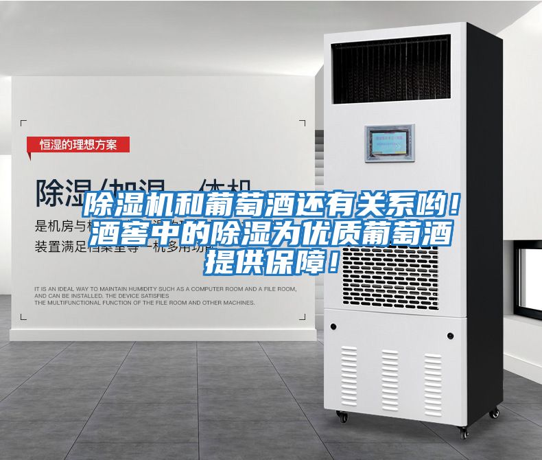 除濕機和葡萄酒還有關系喲！酒窖中的除濕為優質葡萄酒提供保障！